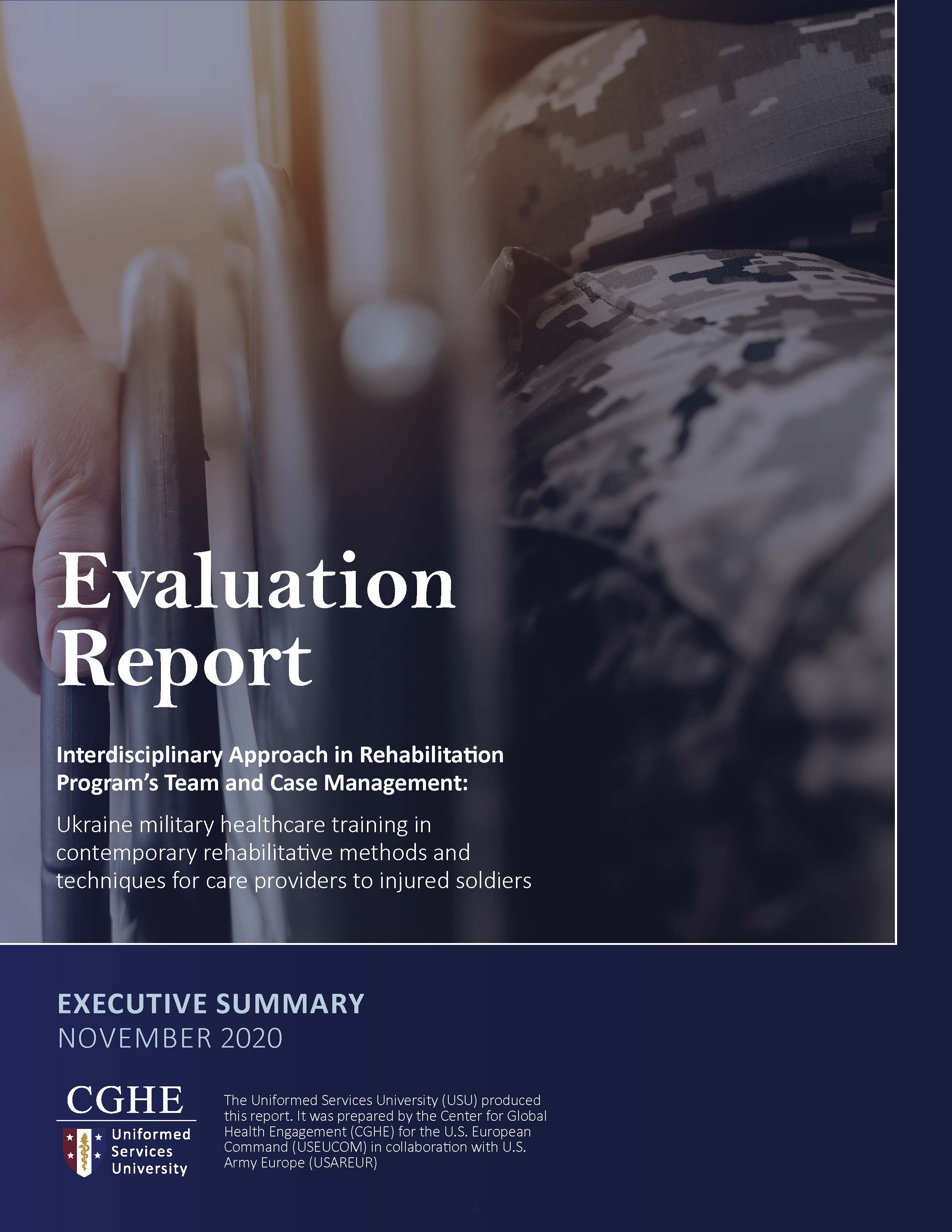 Ukraine Report Executive Summary June11